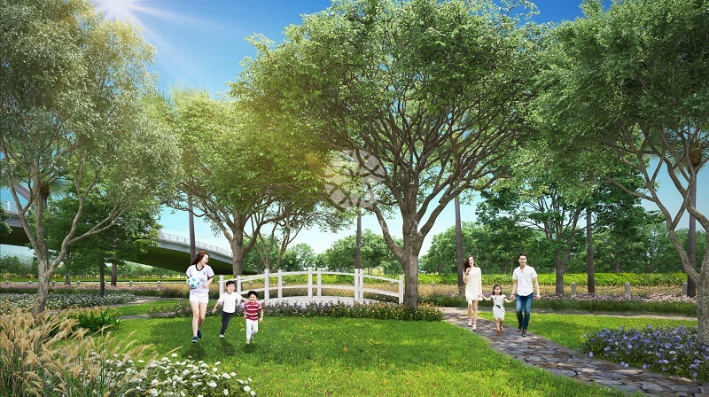 vườn cây senturia vườn cây senturia